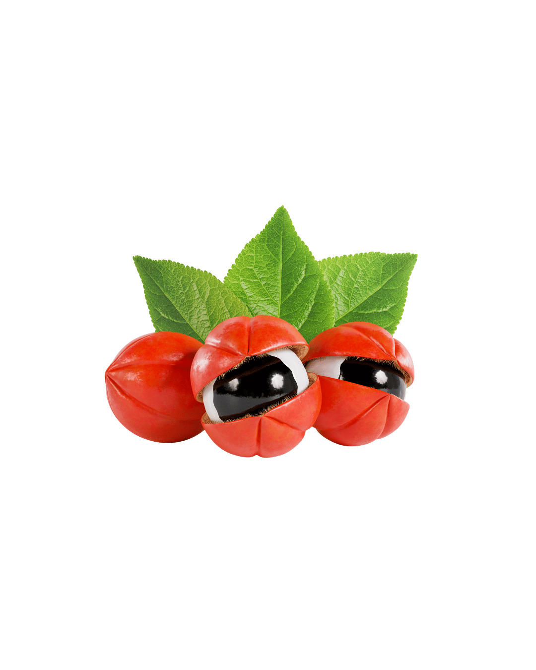 Guarana