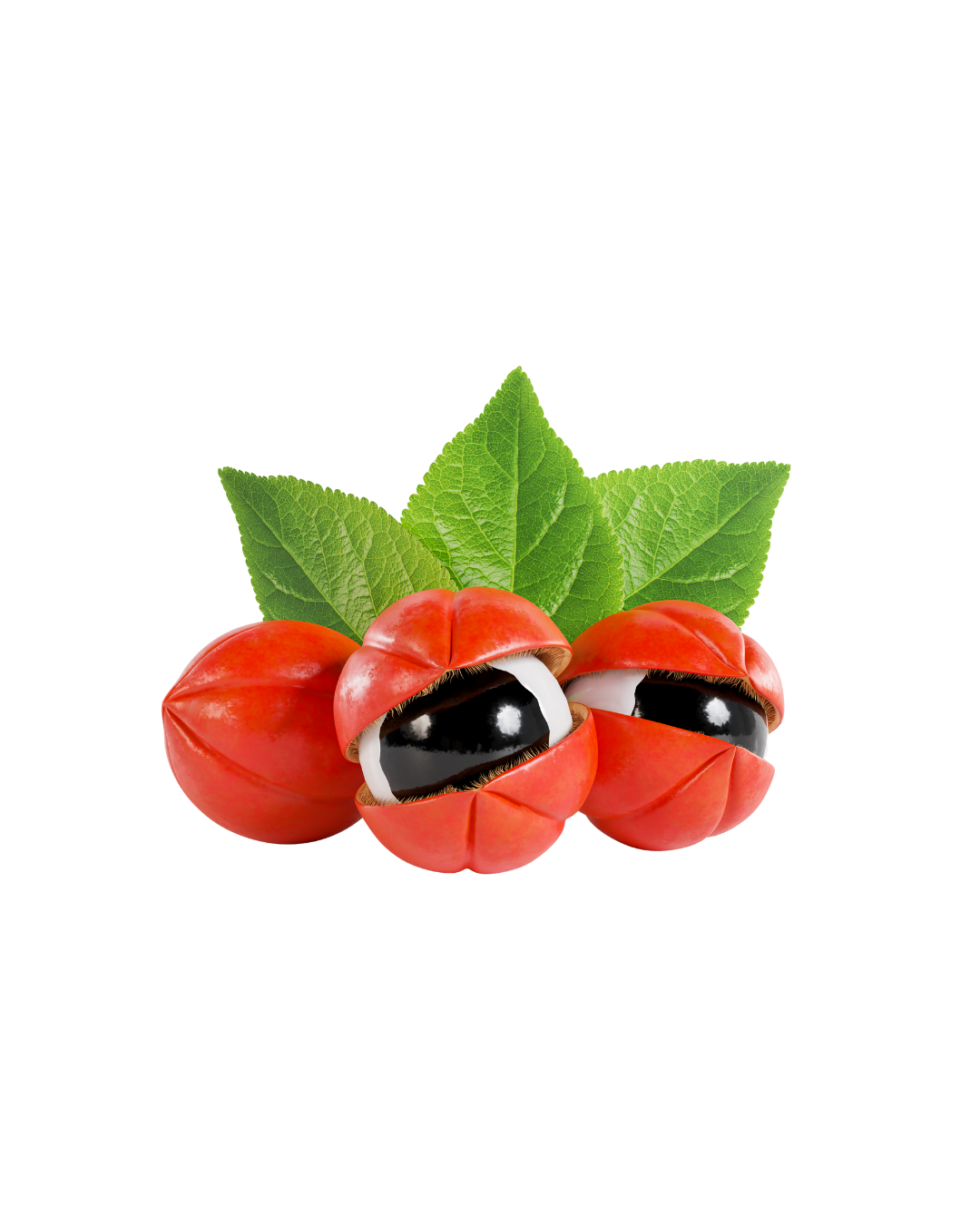 Guarana